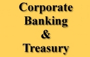 Corporate Banking & Treasury 2011