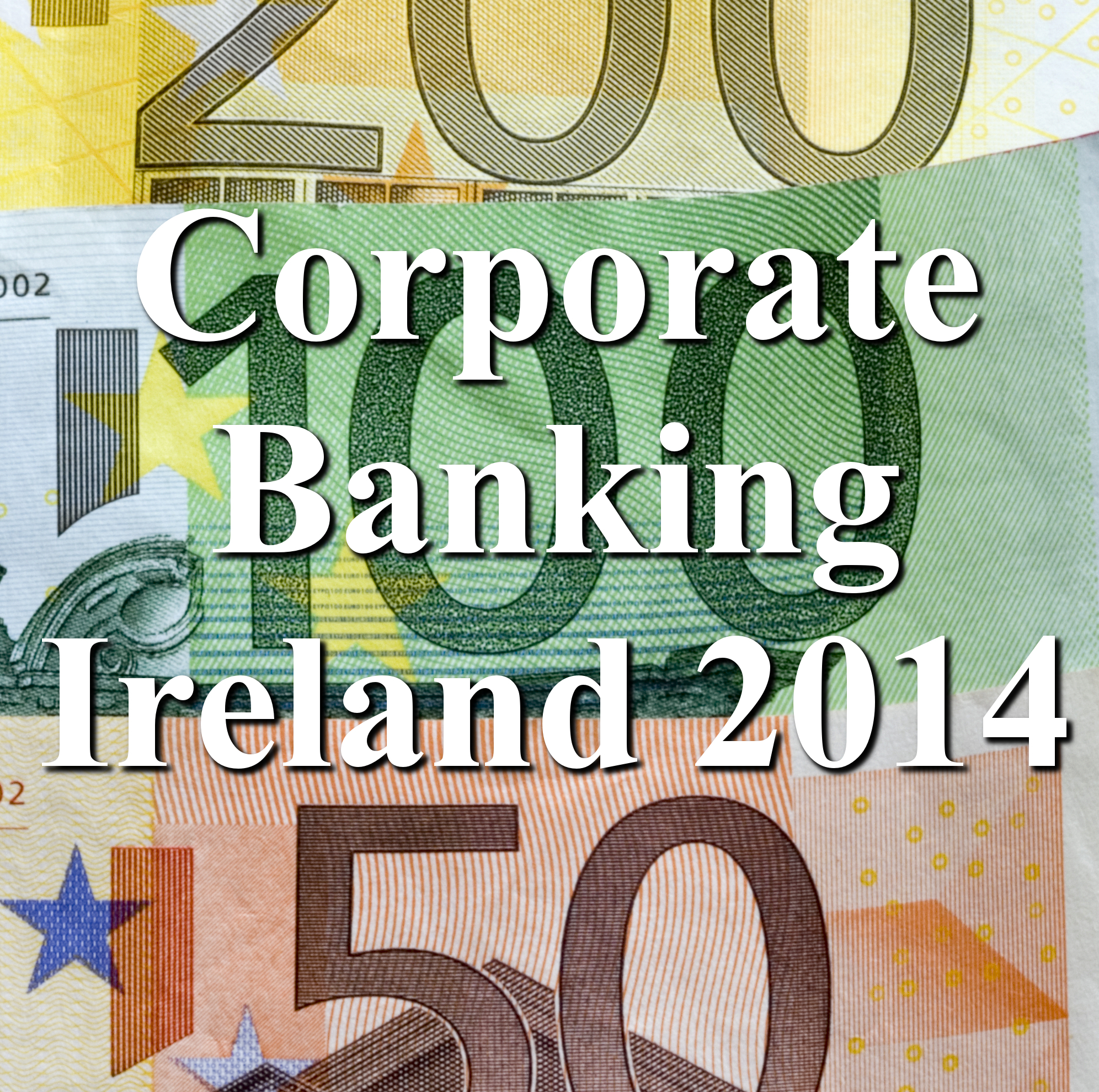 Corporate Banking Ireland 2014